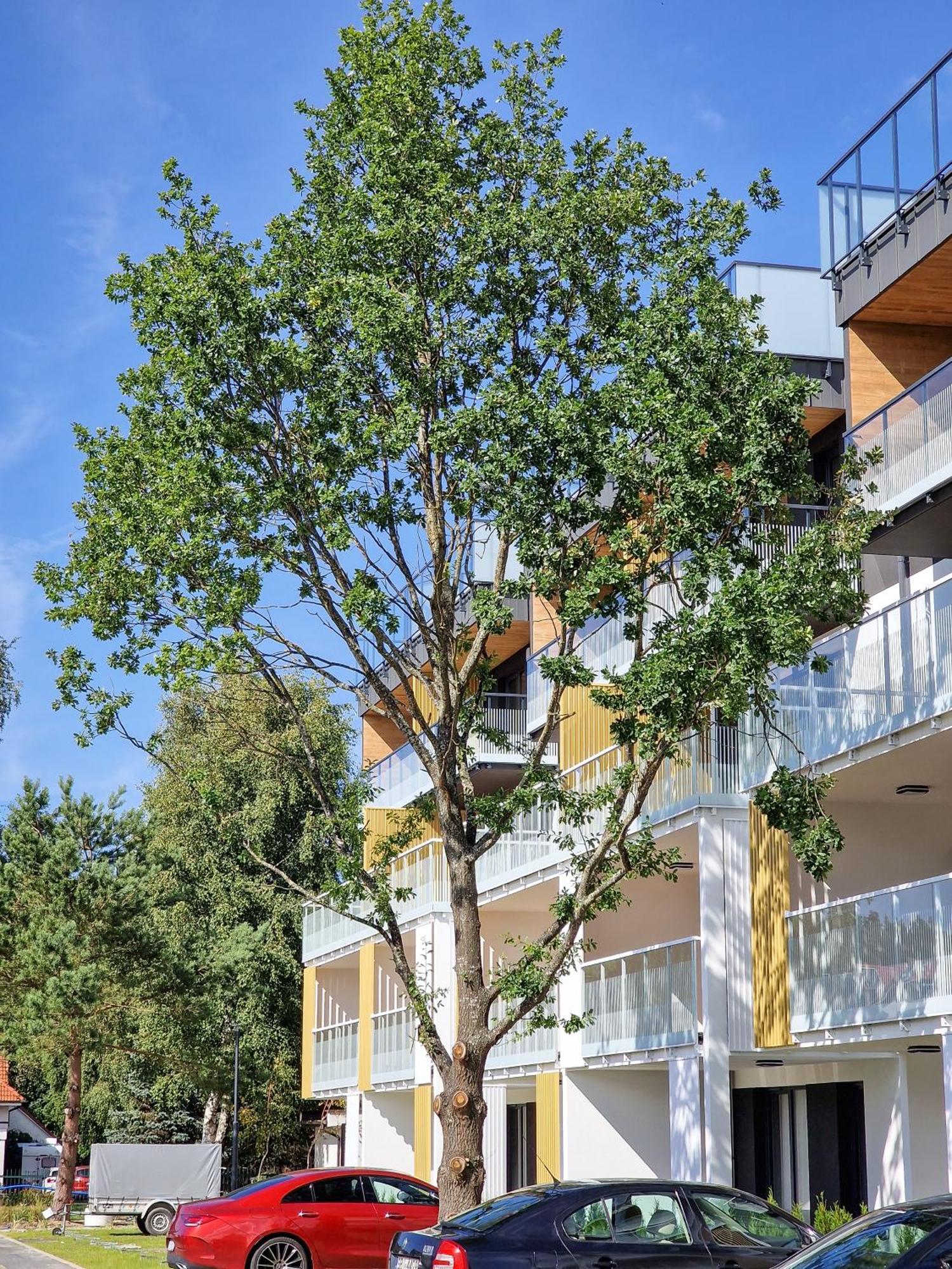 Posesja Apartamenty & Spa - Posesja Plazowa 4A II Грзибово Экстерьер фото